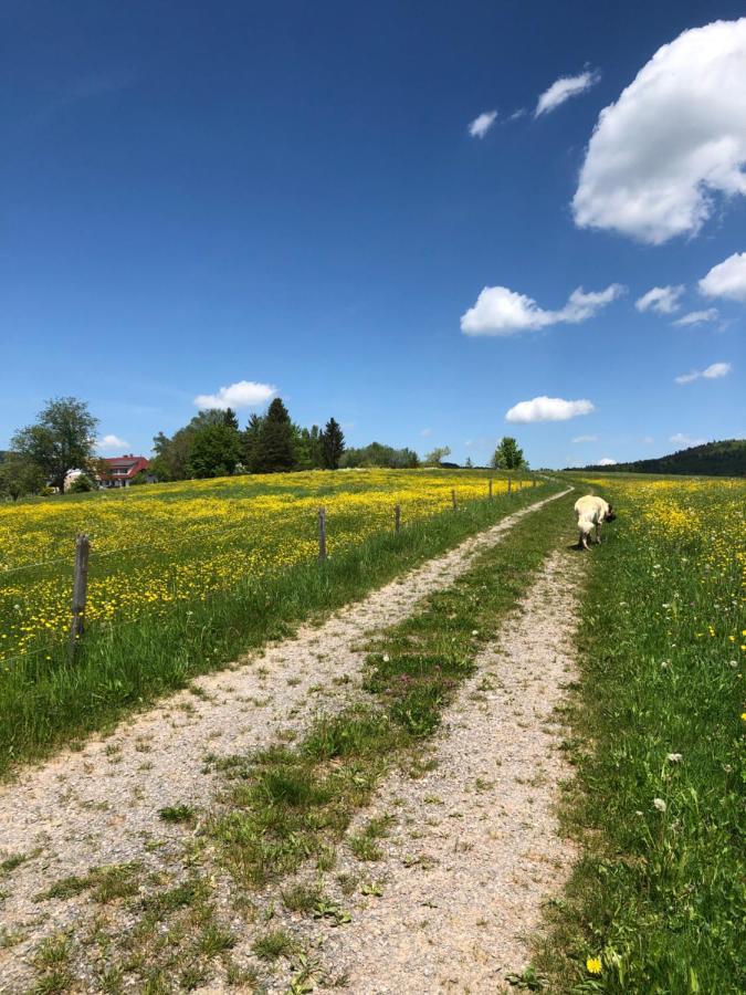 Rickenbach Pfaffensteghofアパートメント エクステリア 写真